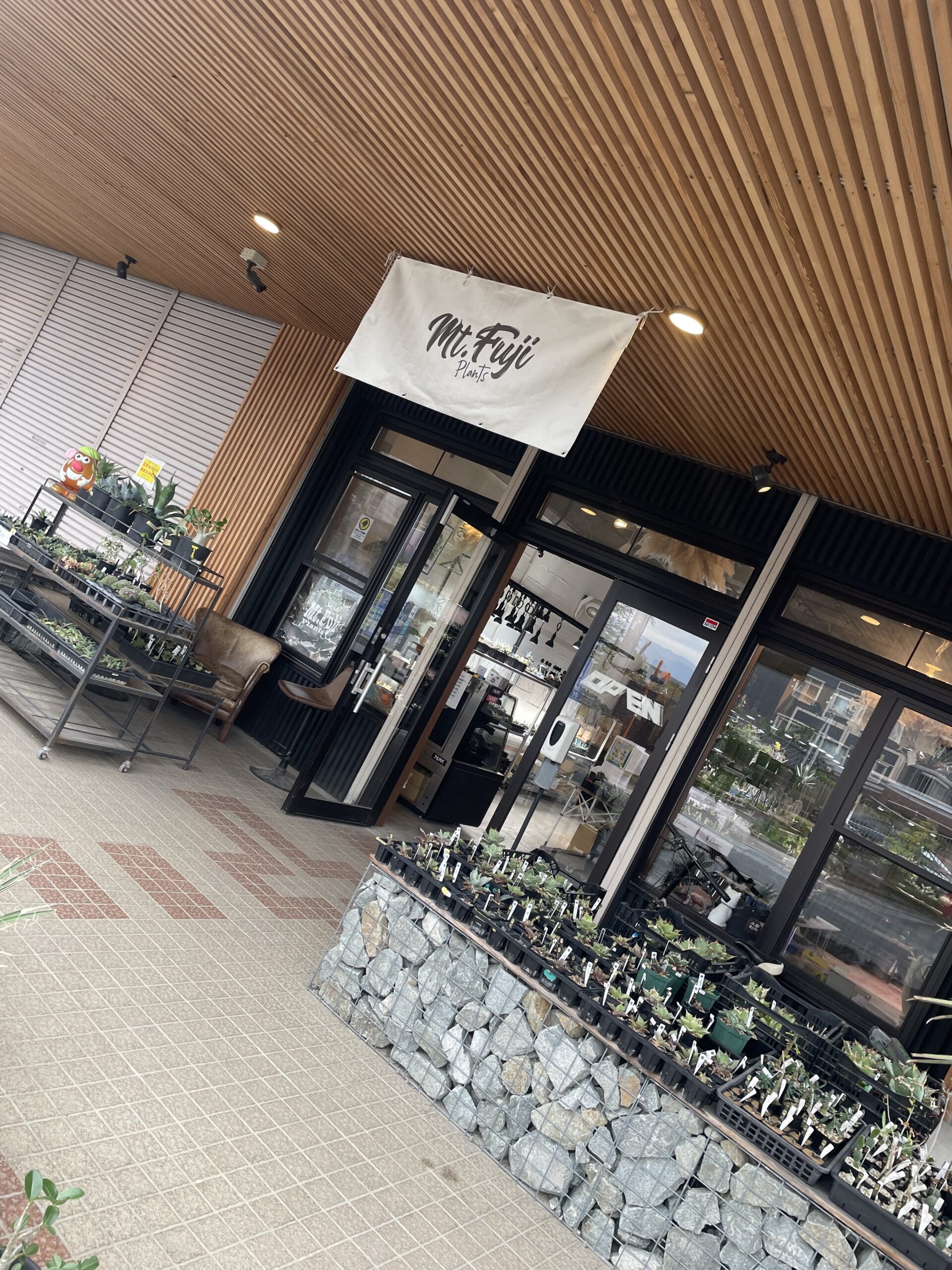 山梨の人気植物店「Mt.Fuji plants」訪れた｜アガベ&塊根植物購入